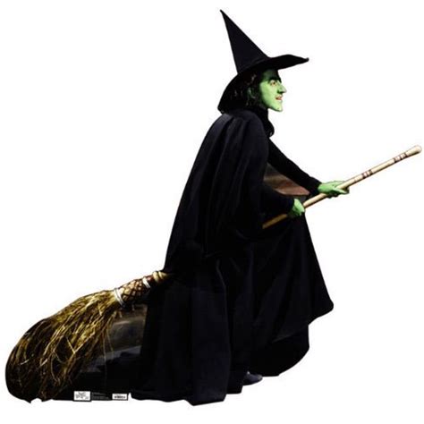 The Wicked Witch's Broomstick: An Examination of Gender Dynamics in 